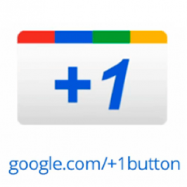 Google +1 Button in Cases Noves website